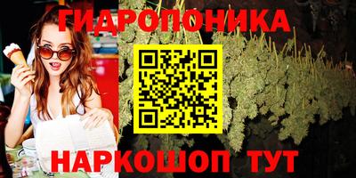 амф Ликино-Дулёво