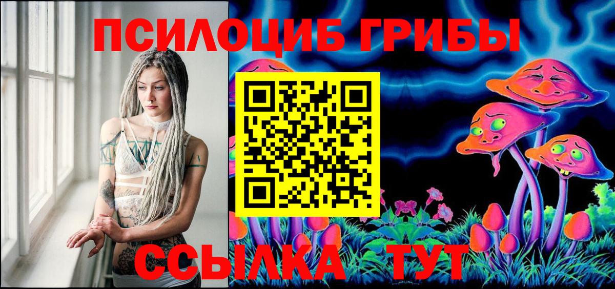 Егорьевск  Псилоцибиновые грибы Magic Shrooms  Вход с VPN  Псилоцибиновые грибы MAGIC MUSHROOMS 